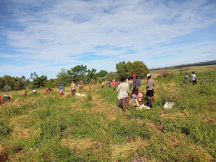 Bambini del Madagascar Tonga Soa - Progetto risaie